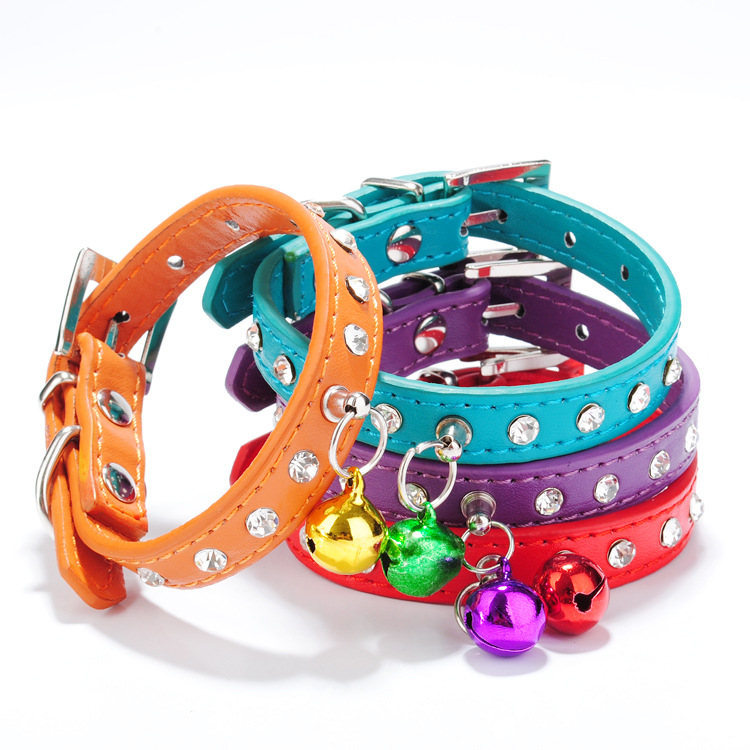 How To Choose The Best Dog Collar For Your Beloved Buddy Best China